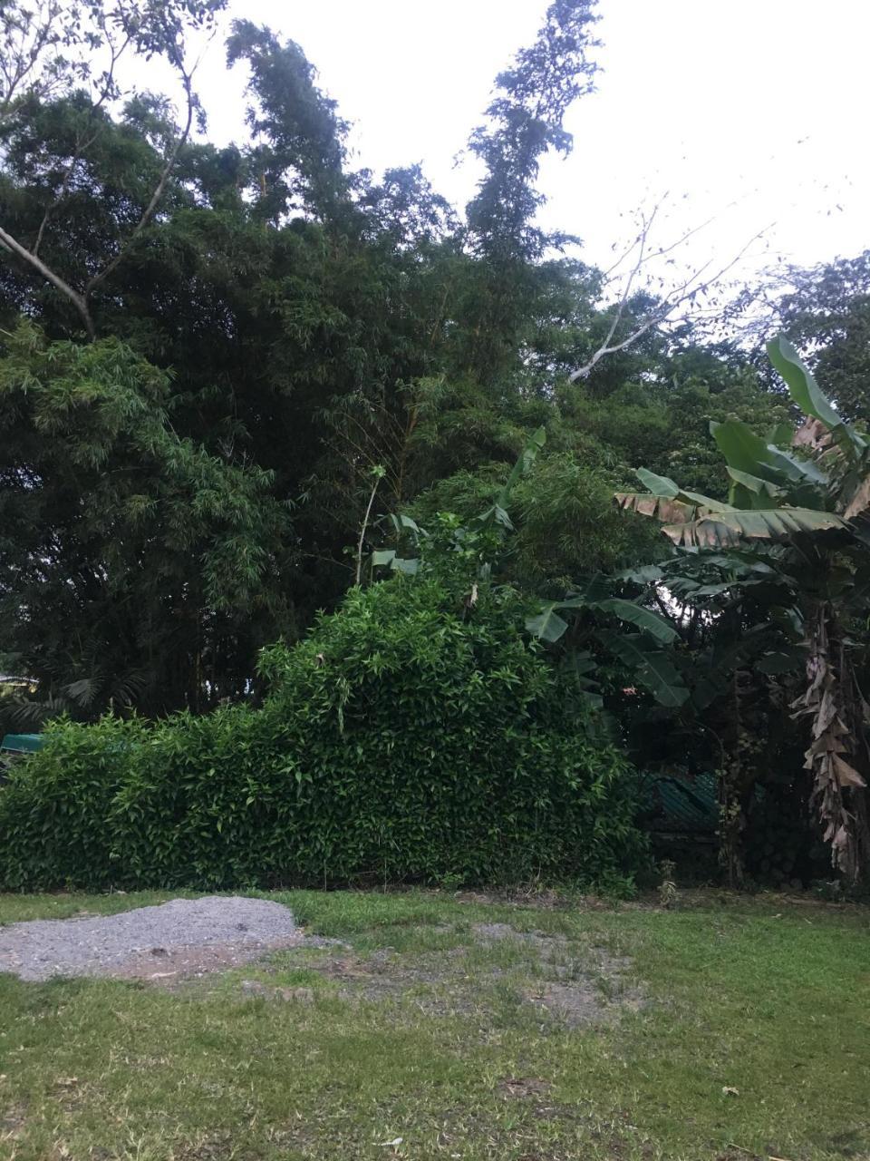 Hostel Orozco - Costa Rica Rio Cuarto ภายนอก รูปภาพ